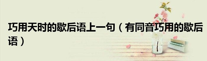 巧用天时的歇后语上一句（有同音巧用的歇后语）