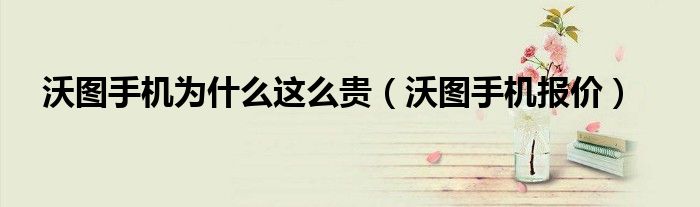沃图手机为什么这么贵（沃图手机报价）