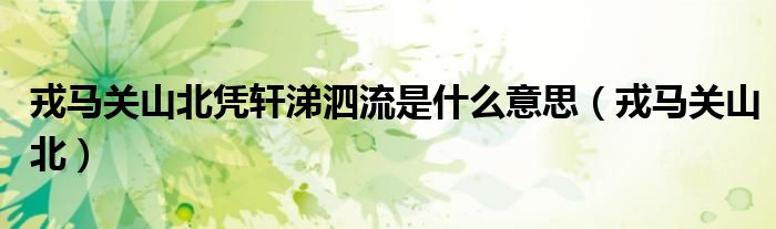 戎马关山北凭轩涕泗流是什么意思（戎马关山北）