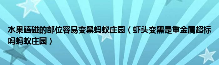 水果磕碰的部位容易变黑蚂蚁庄园（虾头变黑是重金属超标吗蚂蚁庄园）