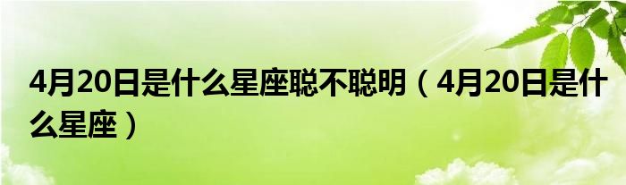 4月20日是什么星座聪不聪明（4月20日是什么星座）