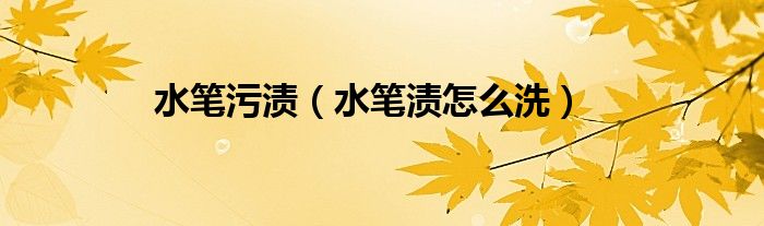水笔污渍（水笔渍怎么洗）