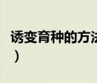 诱变育种的方法和原理（诱变育种的基本步骤）