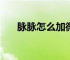 脉脉怎么加微信好友（脉脉添加好友）