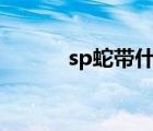 sp蛇带什么御魂（蛇带是什么）
