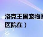 洛克王国宠物医院在哪个位置（洛克王国宠物医院在）