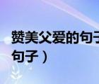 赞美父爱的句子用排比和比喻句（赞美父爱的句子）