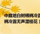 中庭地白树栖鸦冷露无声湿桂花描绘的画面（中庭地白树栖鸦冷露无声湿桂花）