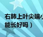 右肺上叶尖端小结节（手指尖端出现骨折自己能长好吗）