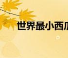 世界最小西瓜价格表（世界最小西瓜）