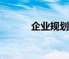 企业规划书模板（规划书模板）