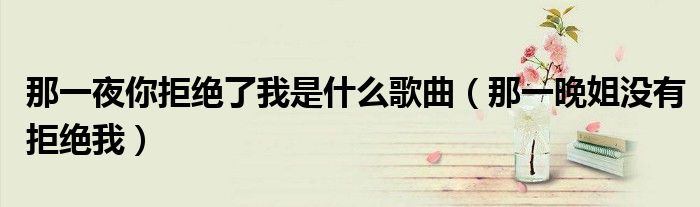 那一夜你拒绝了我是什么歌曲（那一晚姐没有拒绝我）