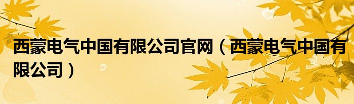 西蒙电气中国有限公司官网（西蒙电气中国有限公司）