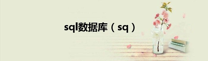 sql数据库（sq）