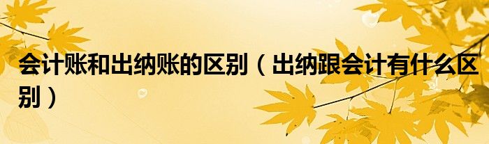 会计账和出纳账的区别（出纳跟会计有什么区别）