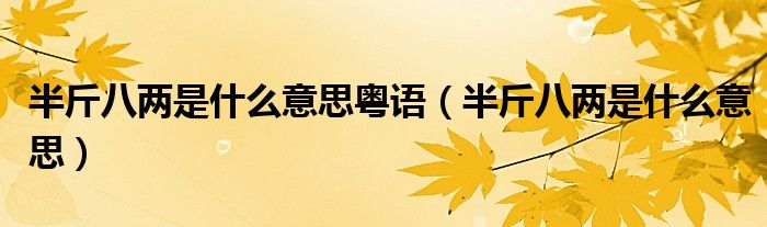 半斤八两是什么意思粤语（半斤八两是什么意思）