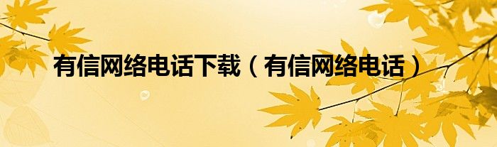 有信网络电话下载（有信网络电话）