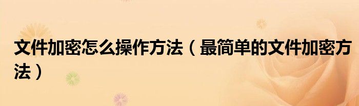 文件加密怎么操作方法（最简单的文件加密方法）
