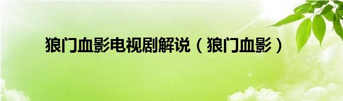 狼门血影电视剧解说（狼门血影）