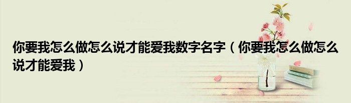 你要我怎么做怎么说才能爱我数字名字（你要我怎么做怎么说才能爱我）