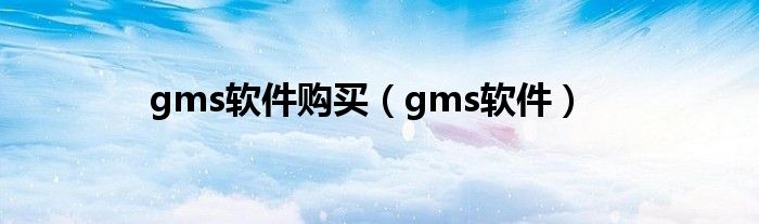 gms软件购买（gms软件）