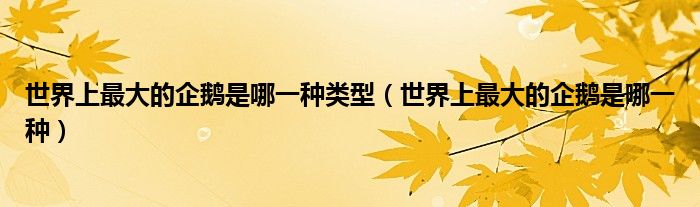 世界上最大的企鹅是哪一种类型（世界上最大的企鹅是哪一种）