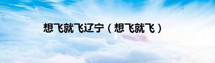 想飞就飞辽宁（想飞就飞）