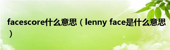 facescore什么意思（lenny face是什么意思）