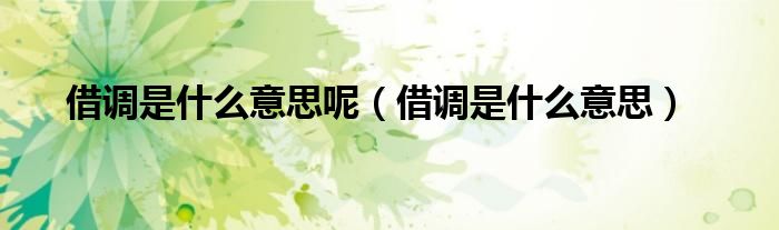 借调是什么意思呢（借调是什么意思）