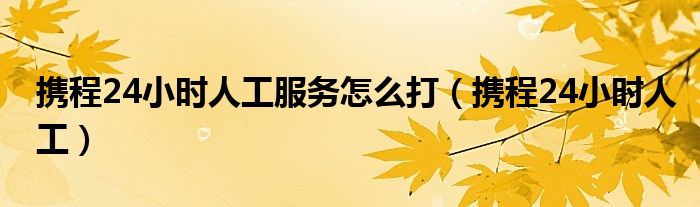 携程24小时人工服务怎么打（携程24小时人工）
