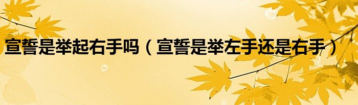 宣誓是举起右手吗（宣誓是举左手还是右手）