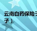 云南白药保险子正确服用方法（云南白药保险子）