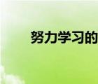 努力学习的名言（努力学习的英文）