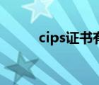 cips证书有用么（cips证书有用）
