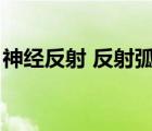神经反射 反射弧（神经系统及反射弧的组成）