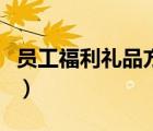 员工福利礼品方案怎么写（员工福利礼品方案）