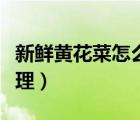 新鲜黄花菜怎么处理好吃（新鲜黄花菜怎么处理）