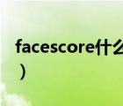 facescore什么意思（lenny face是什么意思）