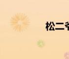 松二爷的儿子（松二爷）