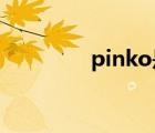 pinko是什么牌子（pink）