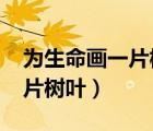 为生命画一片树叶演讲稿1000（为生命画一片树叶）