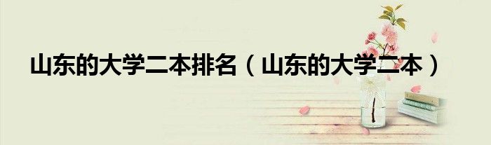 山东的大学二本排名（山东的大学二本）
