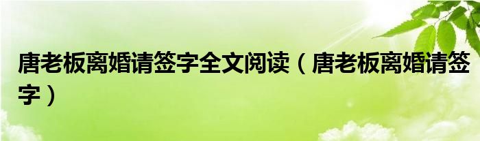 唐老板离婚请签字全文阅读（唐老板离婚请签字）