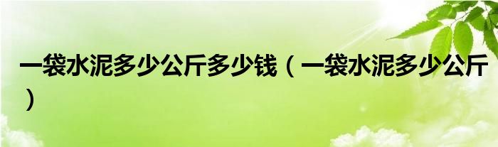 一袋水泥多少公斤多少钱（一袋水泥多少公斤）