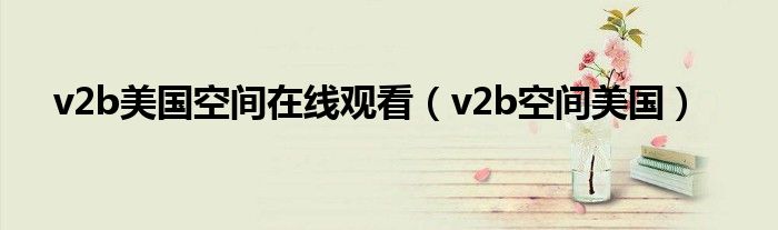 v2b美国空间在线观看（v2b空间美国）
