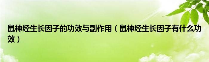 鼠神经生长因子的功效与副作用（鼠神经生长因子有什么功效）