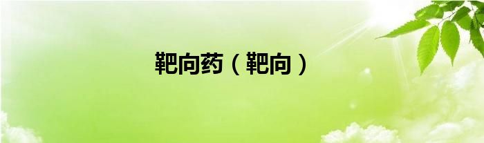 靶向药（靶向）