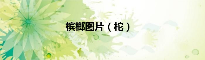 槟榔图片（柁）