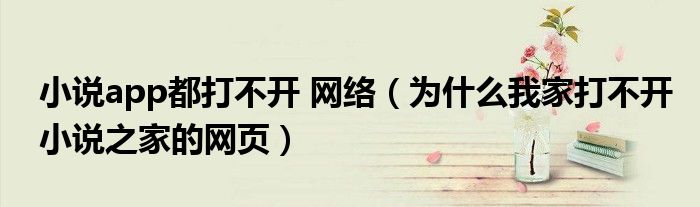 小说app都打不开 网络（为什么我家打不开小说之家的网页）