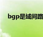 bgp是域间路由协议（bgp在域间用来）